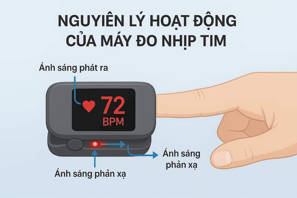 Nguyên lý hoạt động của máy đo nhịp tim
